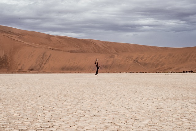 a desert, deserted and barren